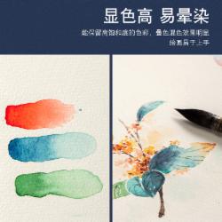 宝虹 水彩纸 学院级棉浆水彩绘画纸中3张540*780