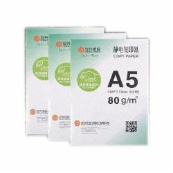 传美2010复印纸A5 80G 500张/包  10包/箱