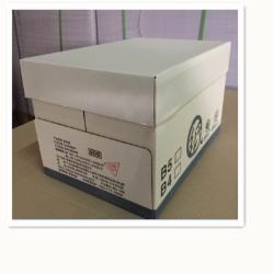 星洲 B4 80G 复印纸 500张/包 5包/箱