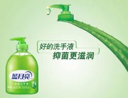 蓝月亮 洗手液 500g/瓶 单位：瓶