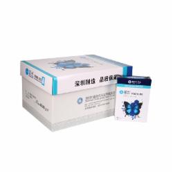 蓝光 复印纸 A5/80g  20包/箱 单位：箱