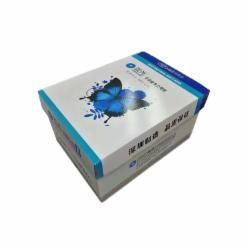 蓝光蝴蝶 复印纸 B4/80g(500张/包)5包/箱